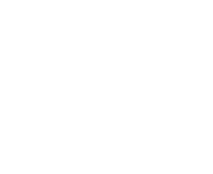 Bytesprung Logo weiß